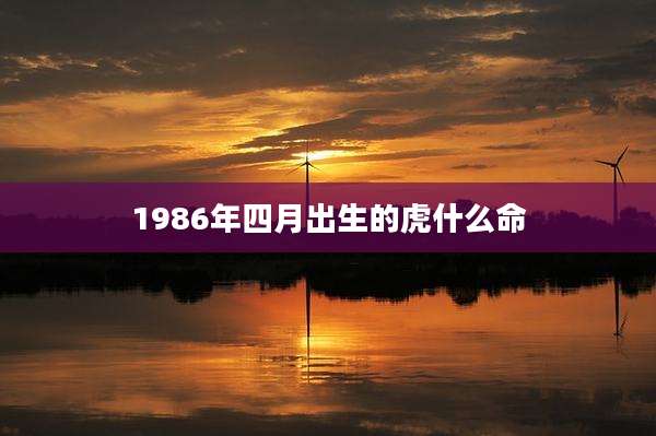 1986年四月出生的虎什么命