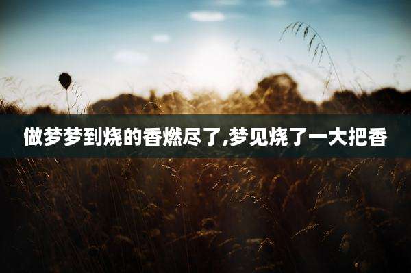 做梦梦到烧的香燃尽了,梦见烧了一大把香