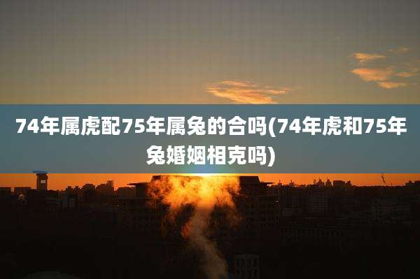 74年属虎配75年属兔的合吗(74年虎和75年兔婚姻相克吗)