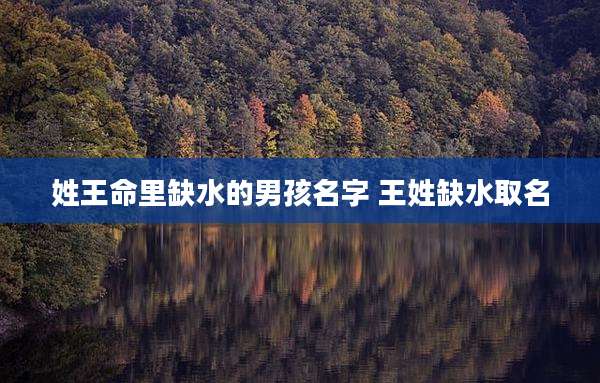 姓王命里缺水的男孩名字 王姓缺水取名
