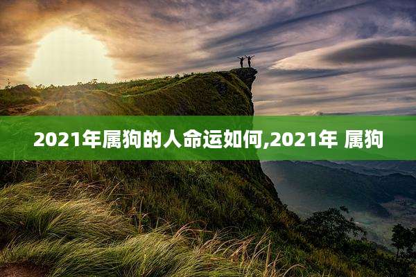 2021年属狗的人命运如何,2021年 属狗