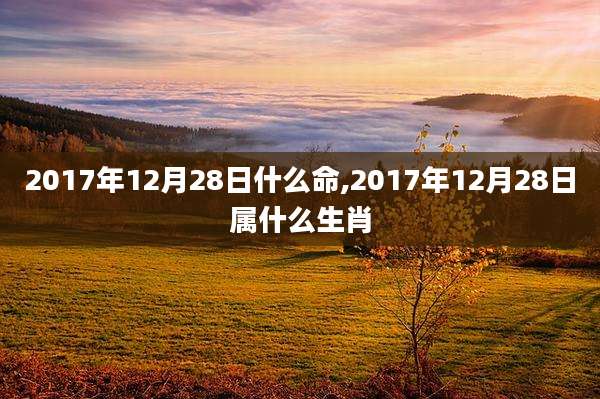 2017年12月28日什么命,2017年12月28日属什么生肖
