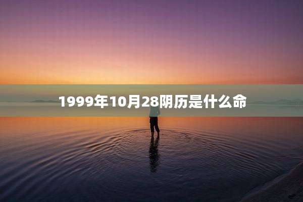 1999年10月28阴历是什么命