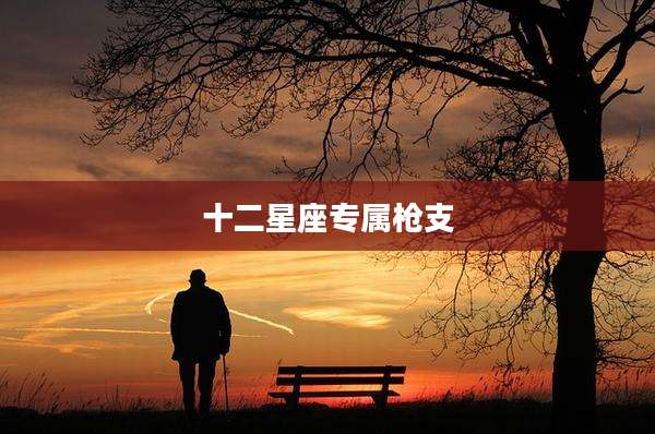 十二星座专属枪支