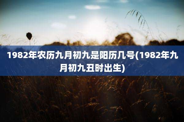 1982年农历九月初九是阳历几号(1982年九月初九丑时出生)