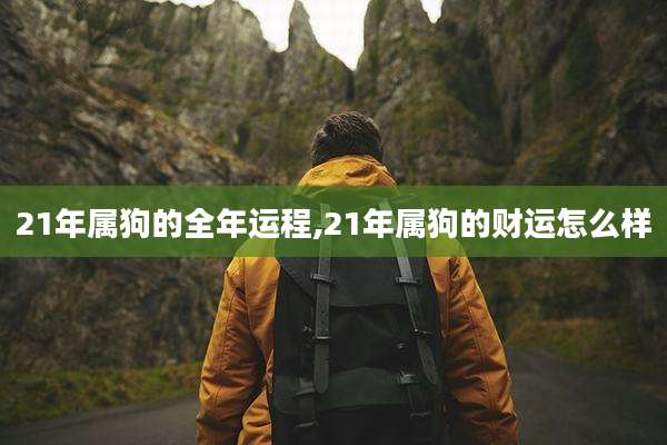21年属狗的全年运程,21年属狗的财运怎么样