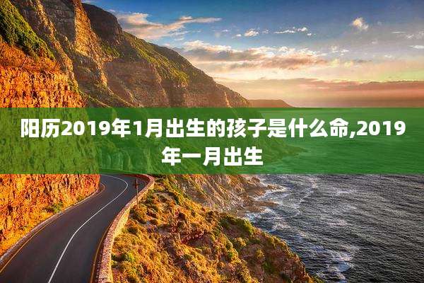 阳历2019年1月出生的孩子是什么命,2019年一月出生