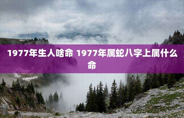 1977年生人啥命 1977年属蛇八字上属什么命