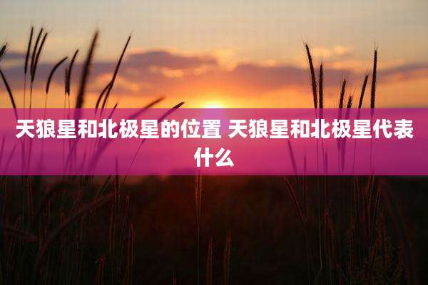 天狼星和北极星的位置 天狼星和北极星代表什么