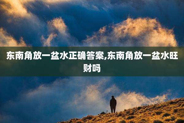 东南角放一盆水正确答案,东南角放一盆水旺财吗