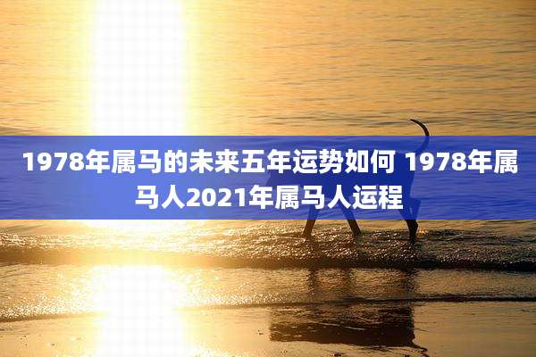 1978年属马的未来五年运势如何 1978年属马人2021年属马人运程