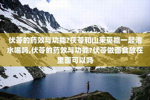 伏苓的药效与功能?茯苓和山茱萸能一起泡水喝吗,伏苓的药效与功能?伏苓做面食放在里面可以吗