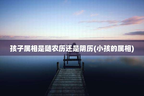 孩子属相是随农历还是阴历(小孩的属相)