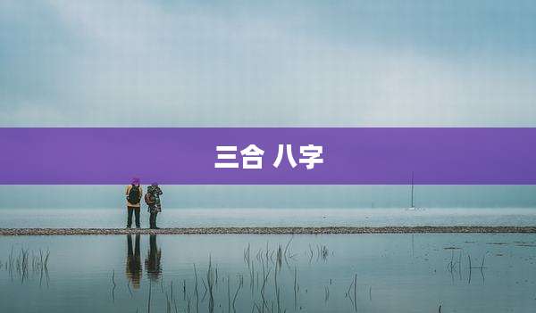 三合 八字