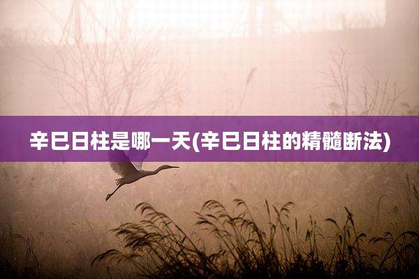辛巳日柱是哪一天(辛巳日柱的精髓断法)