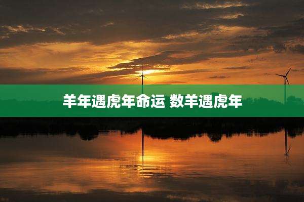 羊年遇虎年命运 数羊遇虎年