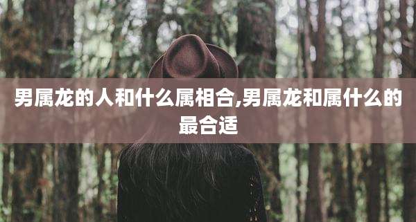男属龙的人和什么属相合,男属龙和属什么的最合适