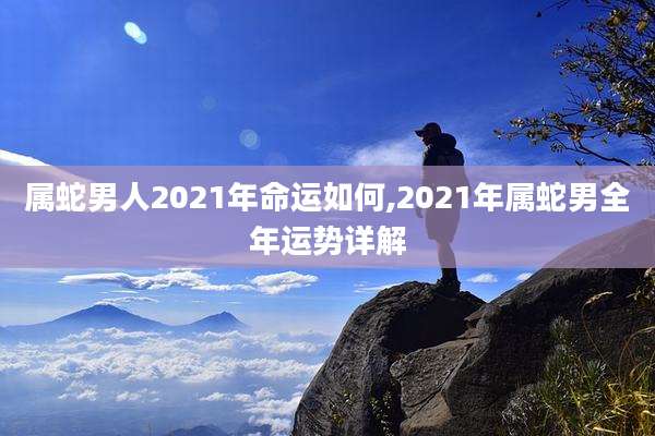 属蛇男人2021年命运如何,2021年属蛇男全年运势详解