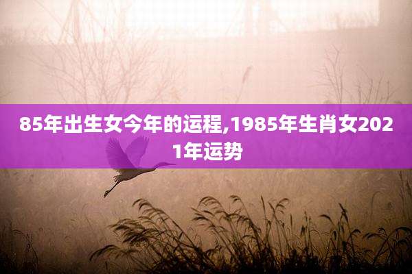 85年出生女今年的运程,1985年生肖女2021年运势