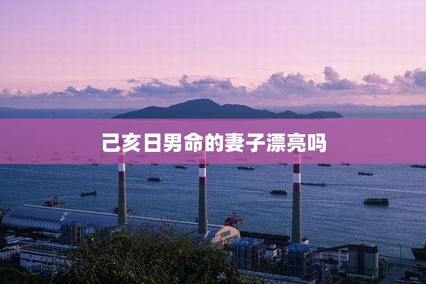 己亥日男命的妻子漂亮吗