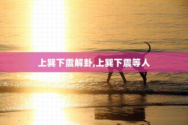 上巽下震解卦,上巽下震等人
