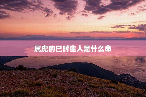 属虎的巳时生人是什么命