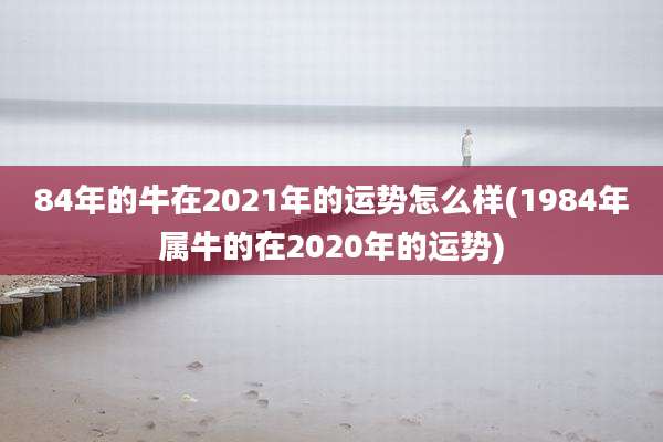84年的牛在2021年的运势怎么样(1984年属牛的在2020年的运势)