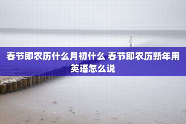 春节即农历什么月初什么 春节即农历新年用英语怎么说
