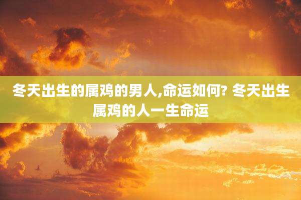 冬天出生的属鸡的男人,命运如何? 冬天出生属鸡的人一生命运