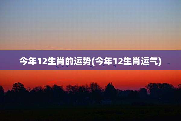 今年12生肖的运势(今年12生肖运气)
