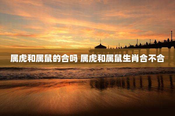 属虎和属鼠的合吗 属虎和属鼠生肖合不合