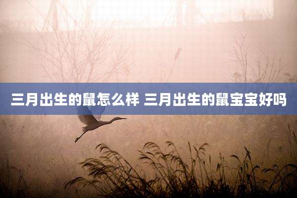 三月出生的鼠怎么样 三月出生的鼠宝宝好吗