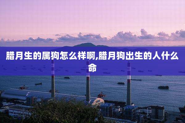 腊月生的属狗怎么样啊,腊月狗出生的人什么命