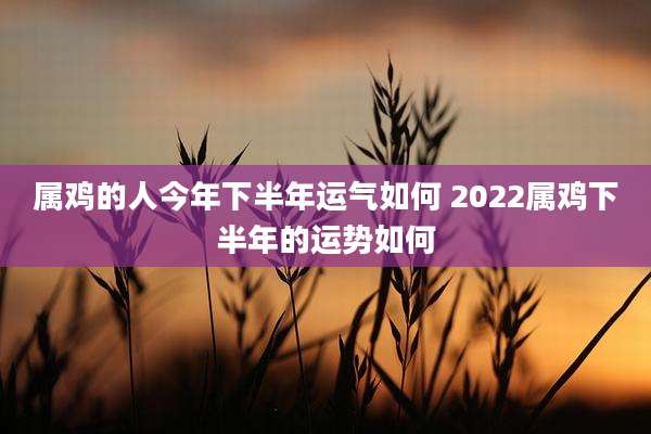 属鸡的人今年下半年运气如何 2022属鸡下半年的运势如何