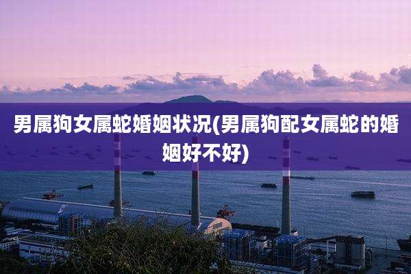 男属狗女属蛇婚姻状况(男属狗配女属蛇的婚姻好不好)
