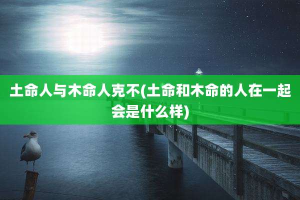 土命人与木命人克不(土命和木命的人在一起会是什么样)