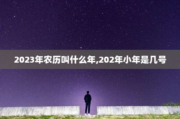 2023年农历叫什么年,202年小年是几号