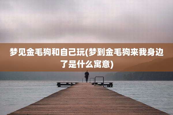 梦见金毛狗和自己玩(梦到金毛狗来我身边了是什么寓意)
