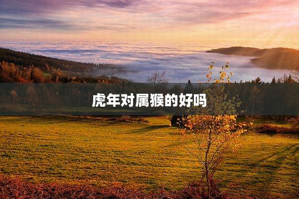 虎年对属猴的好吗