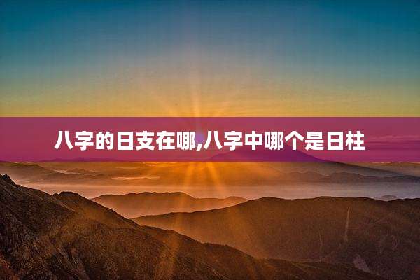 八字的日支在哪,八字中哪个是日柱
