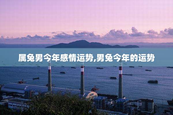 属兔男今年感情运势,男兔今年的运势