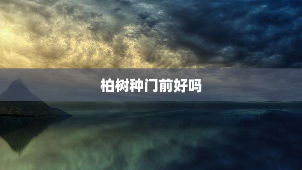 柏树种门前好吗