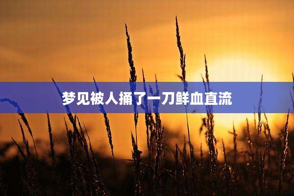 梦见被人捅了一刀鲜血直流