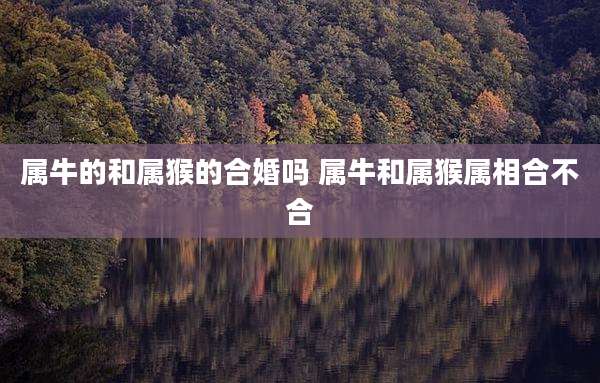 属牛的和属猴的合婚吗 属牛和属猴属相合不合