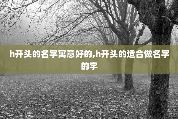 h开头的名字寓意好的,h开头的适合做名字的字