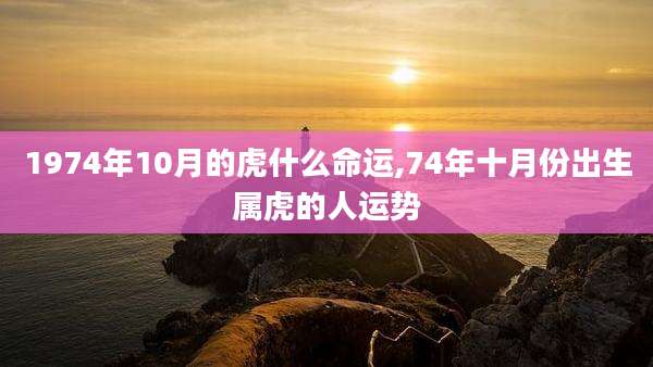 1974年10月的虎什么命运,74年十月份出生属虎的人运势