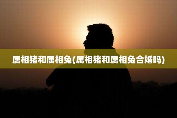 属相猪和属相兔(属相猪和属相兔合婚吗)