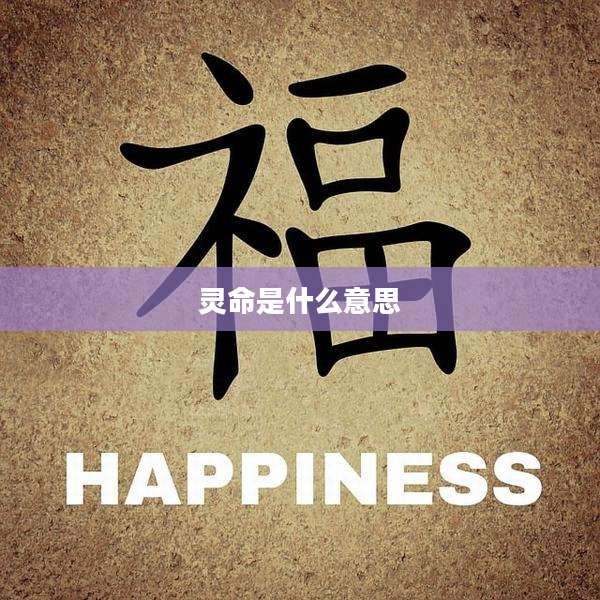 灵命是什么意思