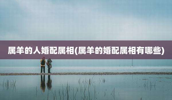 属羊的人婚配属相(属羊的婚配属相有哪些)