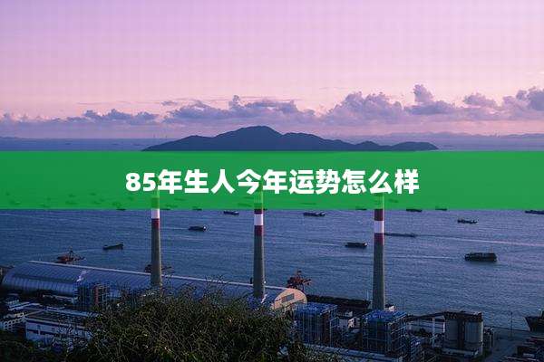 85年生人今年运势怎么样